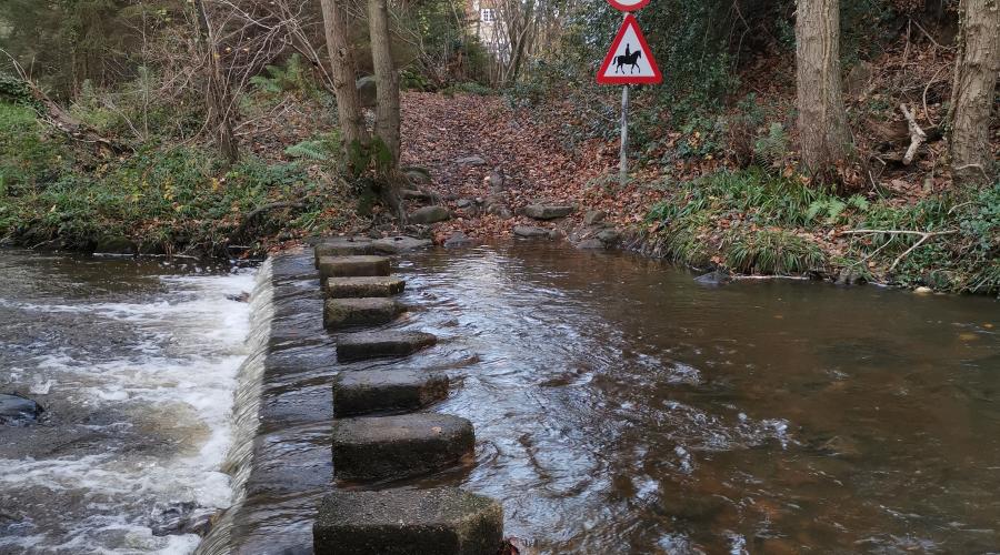 "No Cars" stepping stones