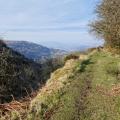 Hill's Tramroad on ledge