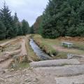 devonport leat in forest