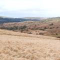 Dartmoor narrator brook valley in winter