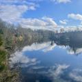 Cloud reflections in river on a sunny day