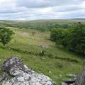 dartmoor narrator valley in summer