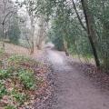 Oxleas Wood Trail