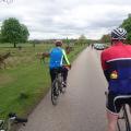 Cyclists in Richmond Park watching deer