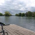 Cyclist viewing the Thames