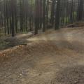 Berms at Swinley forest