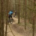 Wooded track at Swinley forest