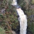 Glenashdale Falls