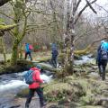 Dartmoor rivers PFR