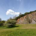 Grass bank with some shrubbery and an old quarry face within Black Rock nature reserve