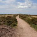 View along Black Down between Beacon Batch and Rowberrow (in the distance)