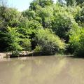 Tarn lake - originally a small bathing pool, surrounded by trees and shrubbery