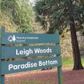 Leigh Woods Paradise Bottom