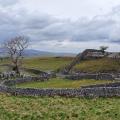 Walled enclosures in Yorkshire with stormy sky