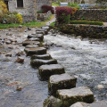 stepping stones