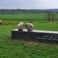 Sculpture bench on the Tees Way
