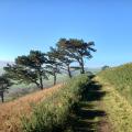 Views over Exmoor