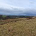 Landscape near Birtley Northumberland