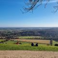 View from Box Hill