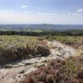 Footpath on the Cloud