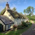 A cottage near Minehead