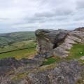 Taxal Edge