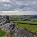 Taxal Edge