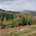 Shining Tor