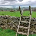 A wall and stile with Allendale in background