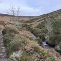 Berry Clough, above the Goyt Valley