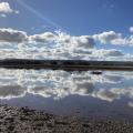The estuary