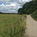 Goyt Valley