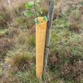 Tree tubes