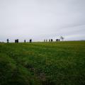 People walking