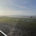 Lympstone