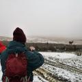 Outdoor lads taking photos in the snow