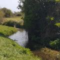 River Lavant South of Chichester