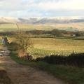 Kinder Edge view