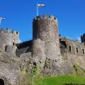 Conwy castle close up