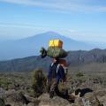 a porter on Kilimanjaro