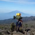 a porter on Kilimanjaro 