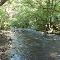 Brecon Beacons River from Talybont Reservoir PFR