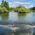 River Derwent, Derby city