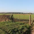 Field Gate with Willingham Woods CCSA2.0 (c) Hannan-Briggs