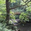 Footbridge over river Goyt