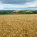 View North from Highdown Hill