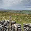Drystone wall crossing