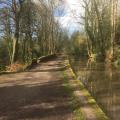 Peak Forest Canal