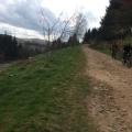 Forest track Goyt Valley