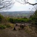 Surrey Hills view